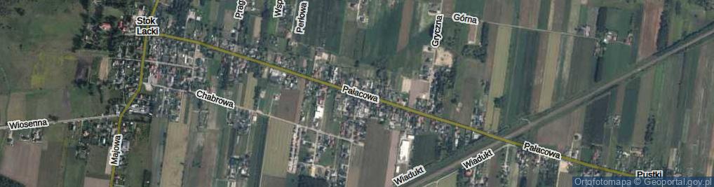 Zdjęcie satelitarne Pałacowa ul.